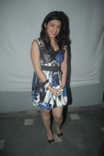 at Love Possible film music launch in Ramee on 12th Nov 2011 (16).JPG